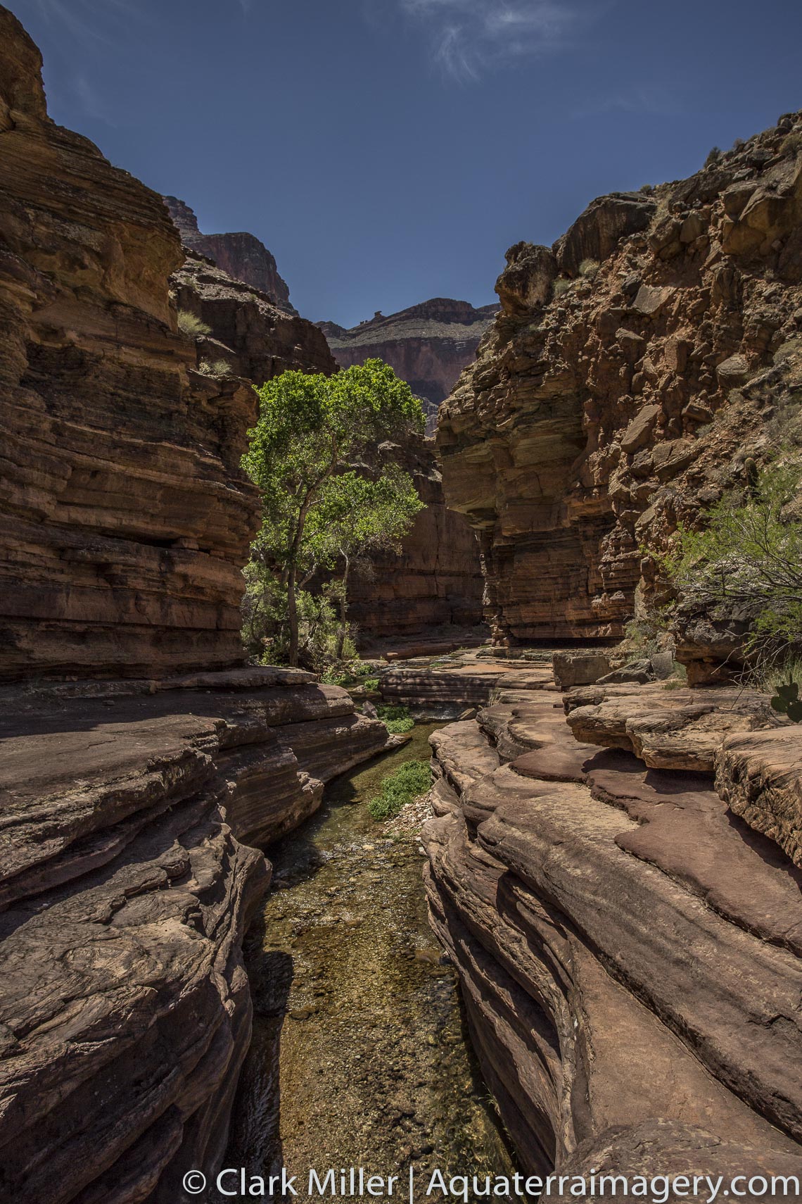  Colorado River_1174 2 website